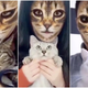 Illustration for article titled People Keep Freaking Out Their Cats With Cat Face Filters